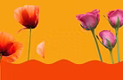 Untitled design (28).png