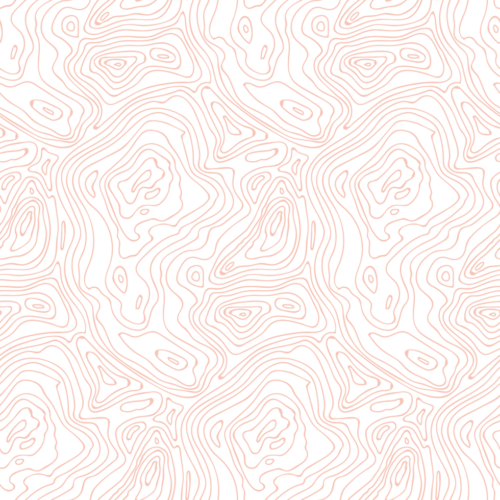 Topography.png